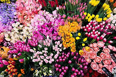 《艾尔登法环》1.03补丁调整平衡性 追加多NPC剧情