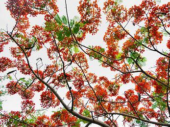 《明末：渊虚之羽》全新截图 美丽女主战斗放大招