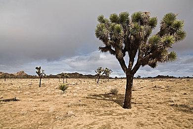 建设新农村 《老家生活》公布Steam页面2023年发售